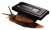 The Pentium Snail