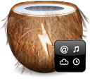 coconutBattery icon