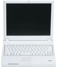 Snow Leopard Laptop