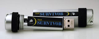 Flash Survivor