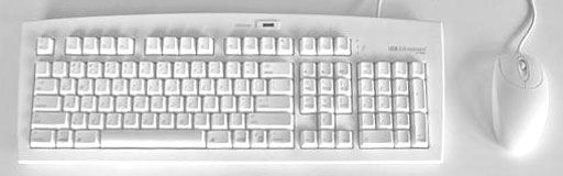 keyboard with mouse