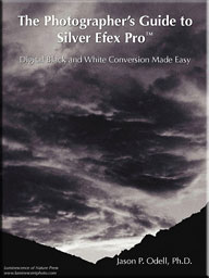 The Photographer's Guide to Silver Efex Pro