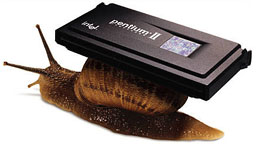 The Pentium snail