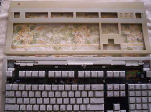 Apple Extended Ii