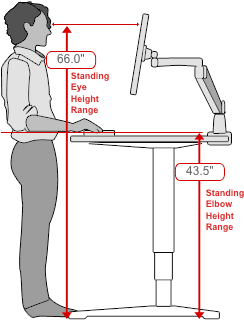 Human Solution standing desk dimensions