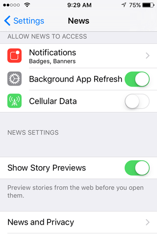 settings for iOS News app