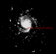 M101 as viewed in Starry Night Backyard