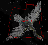 The constellation Cygnus as shown in Starry Night
