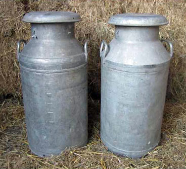 two 10 gallon milk churns