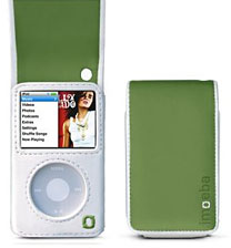 Alpine iPod case