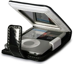 Shine iPod nano Case