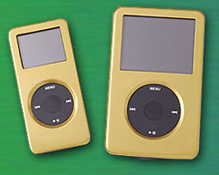 Titan iPod Video case