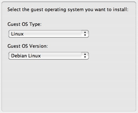 install a guest OS
