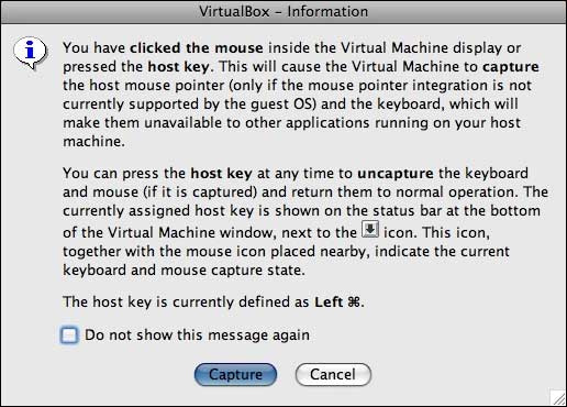 VirtualBox captures your mouse input