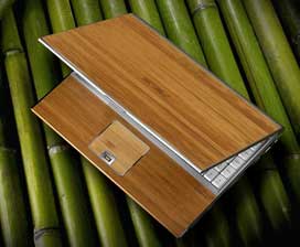 Asus U6V bamboo laptop