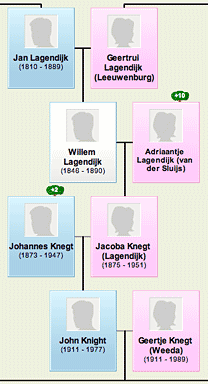 part of my family tree