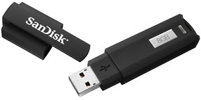 SanDisk Cruzer Enterprise USB Flash Drive