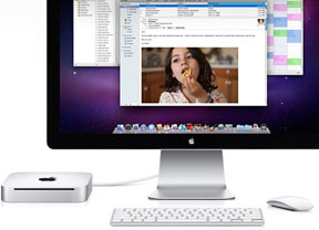 2010 Mac mini with display