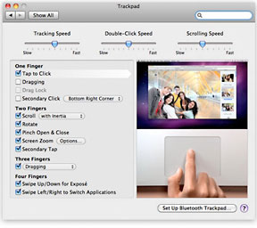 Control the Magic Trackpad in System Preferences