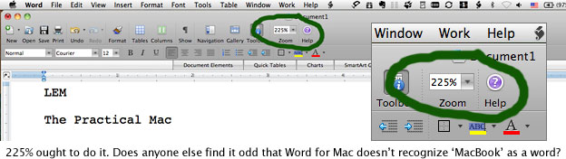 225 percent magnification set in Microsoft Word 2008