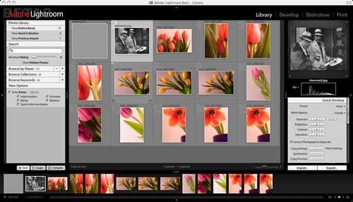 Adobe Lightroom